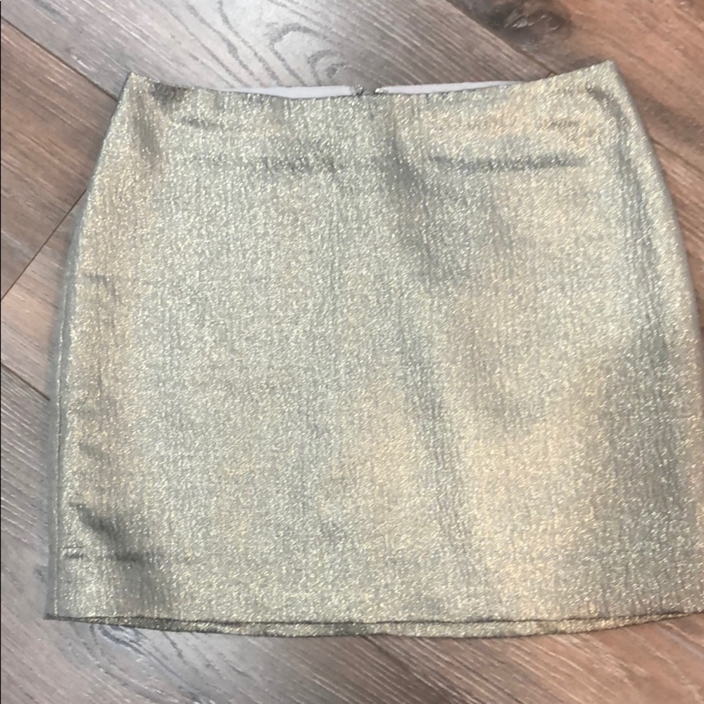 Ann Taylor Silver Mini Skirt Sz OP